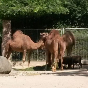 2015_reiseblog_berlin_t4_008