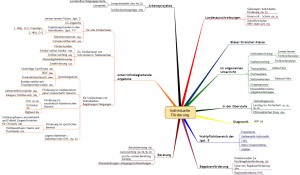 Mindmap Individuelle Förderung